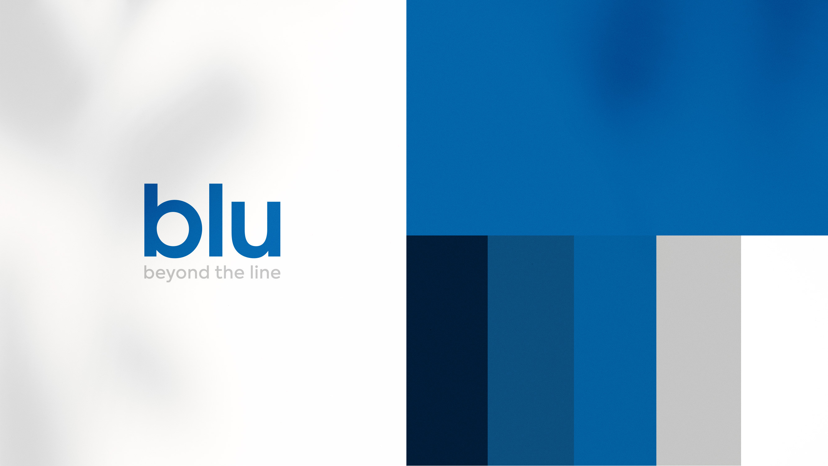 BLU - imagem 2