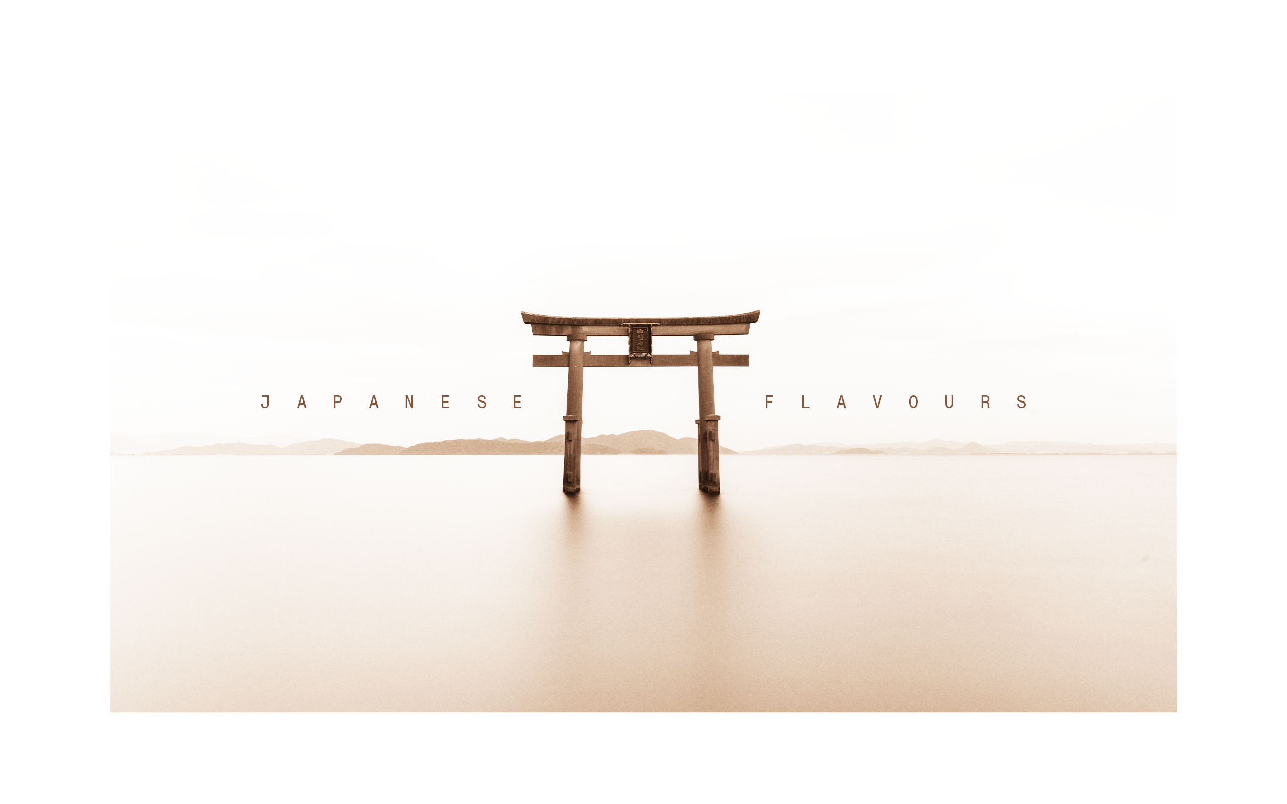 HOKO - imagem 4