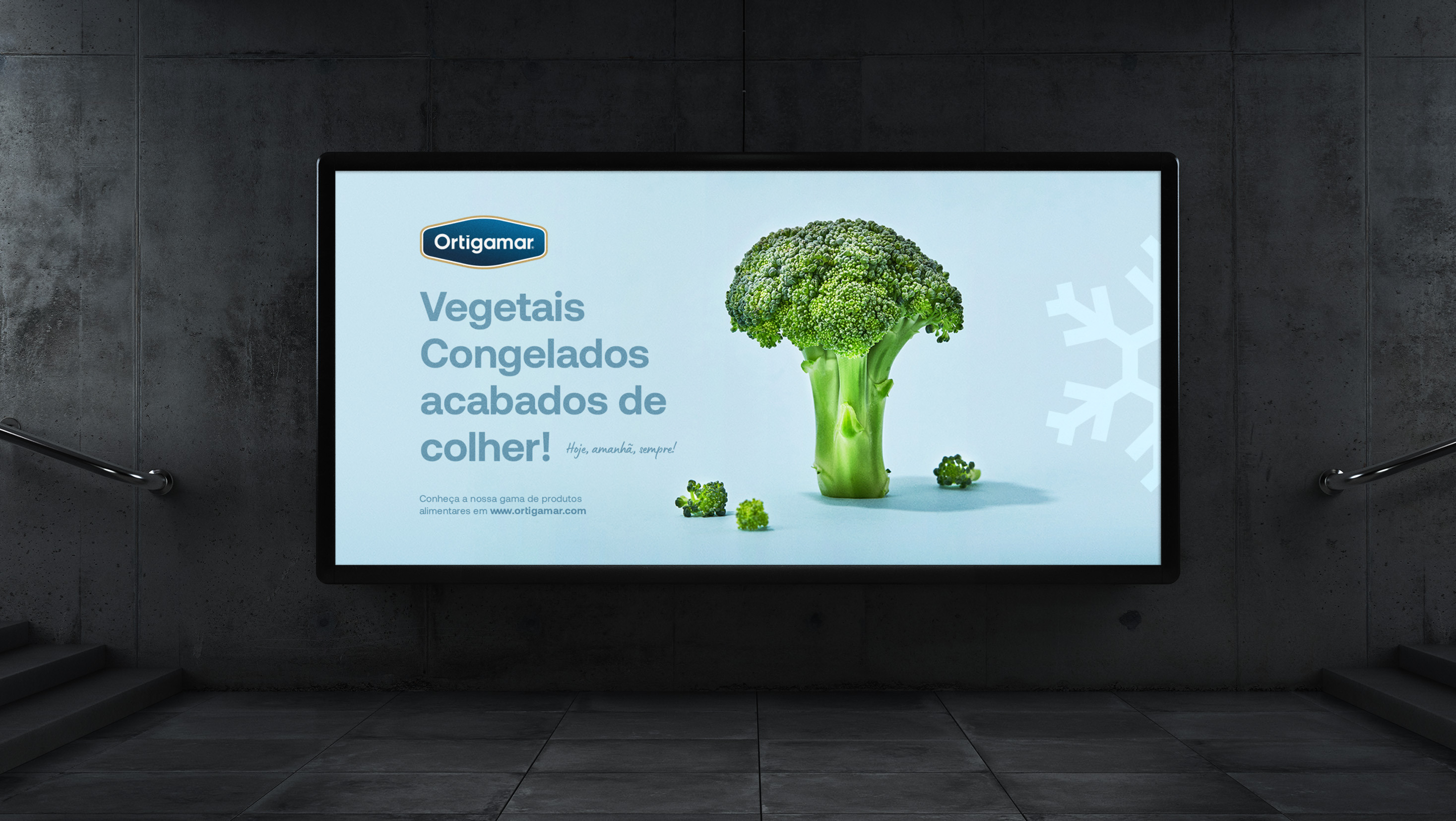 Ortigamar - imagem 10
