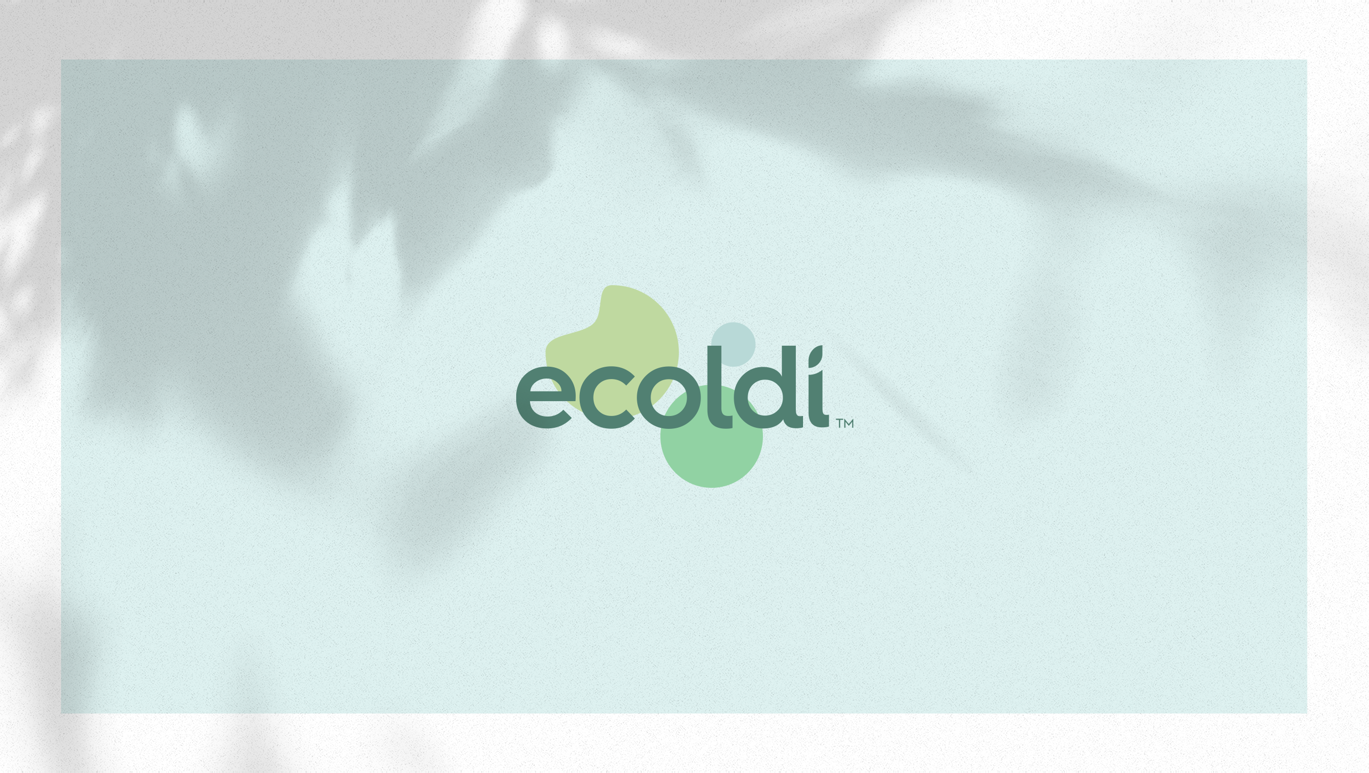 Ecoldi - imagem 1