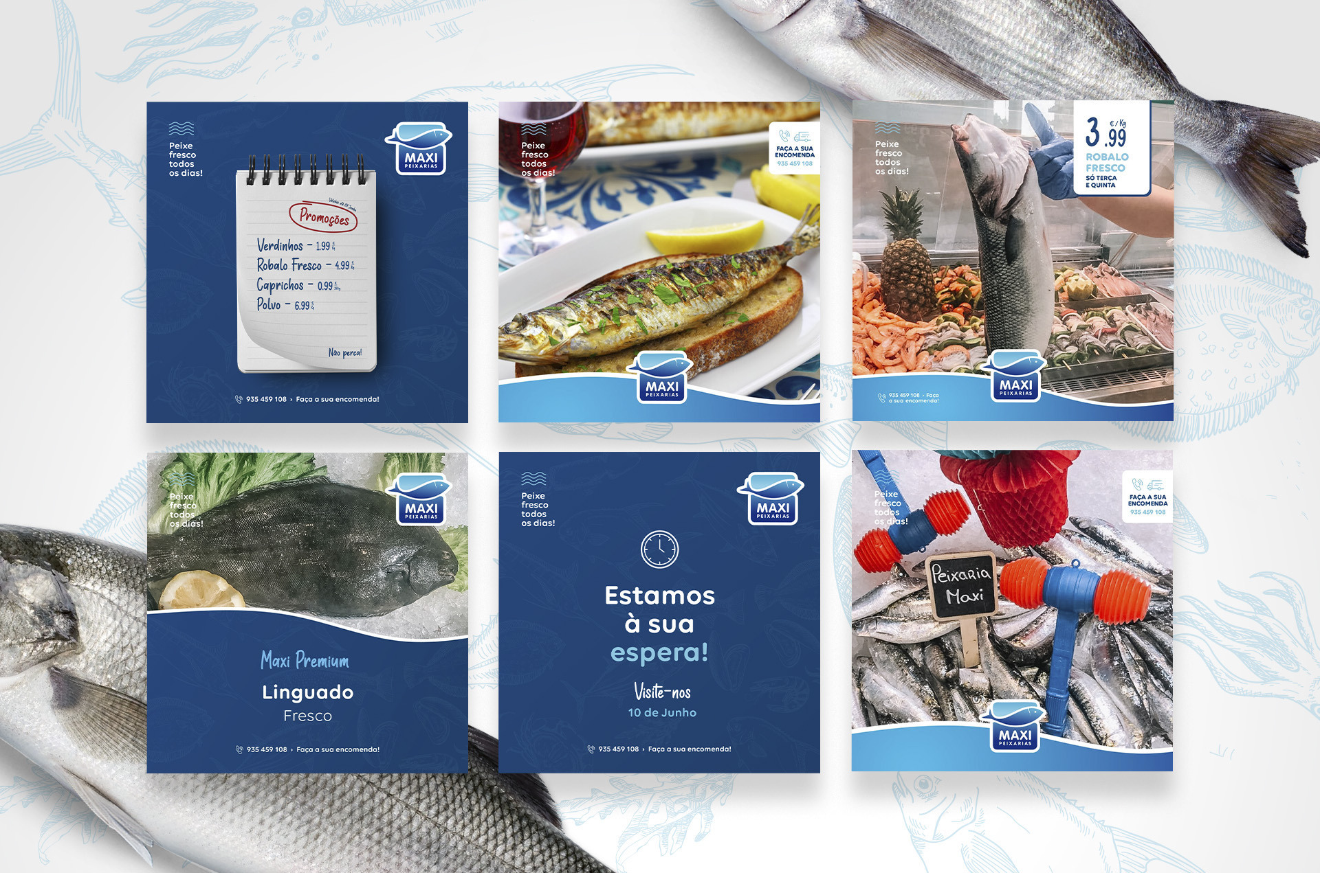 PEIXARIAS MAXI - imagem 2