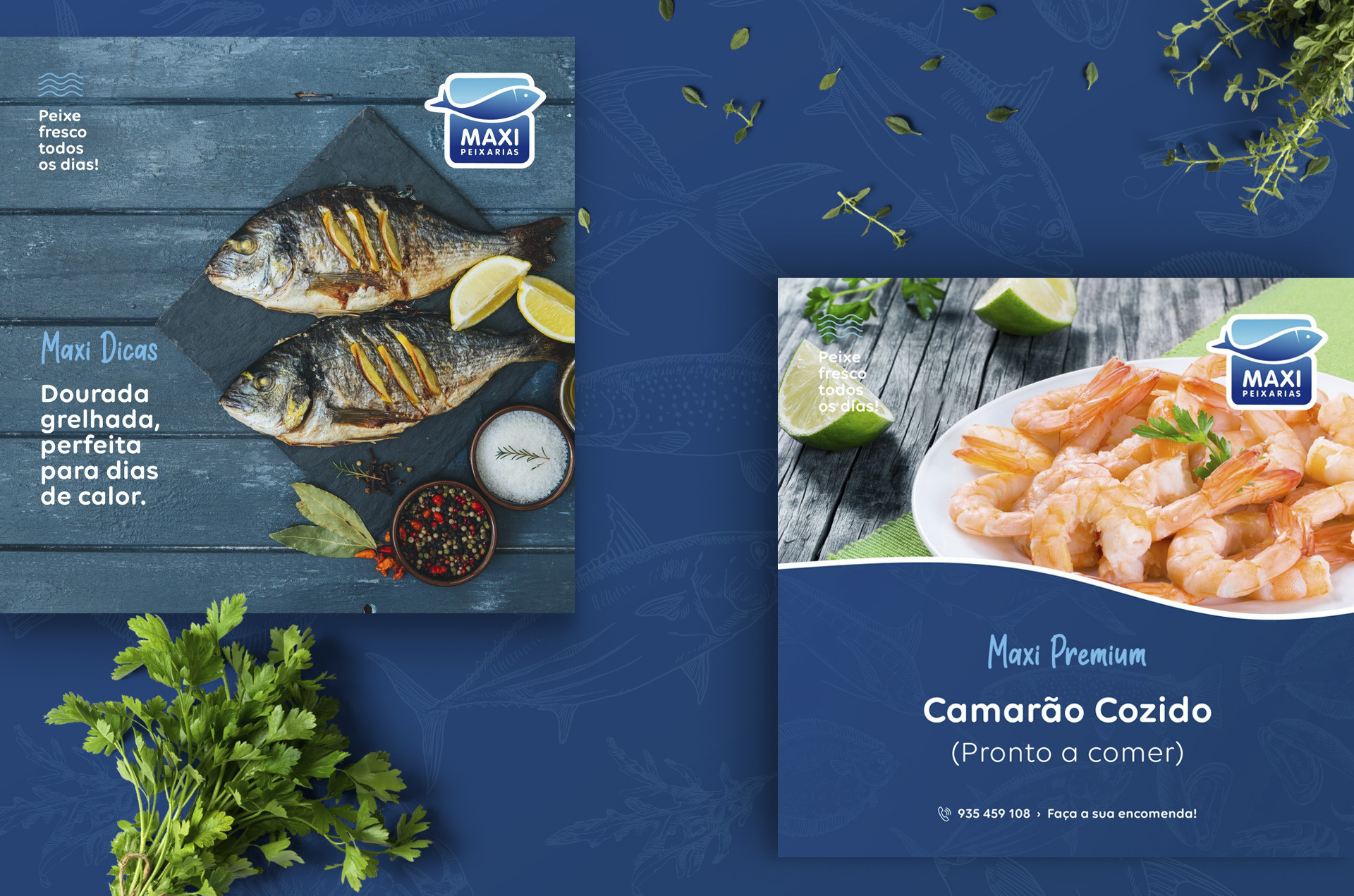 PEIXARIAS MAXI - imagem 5