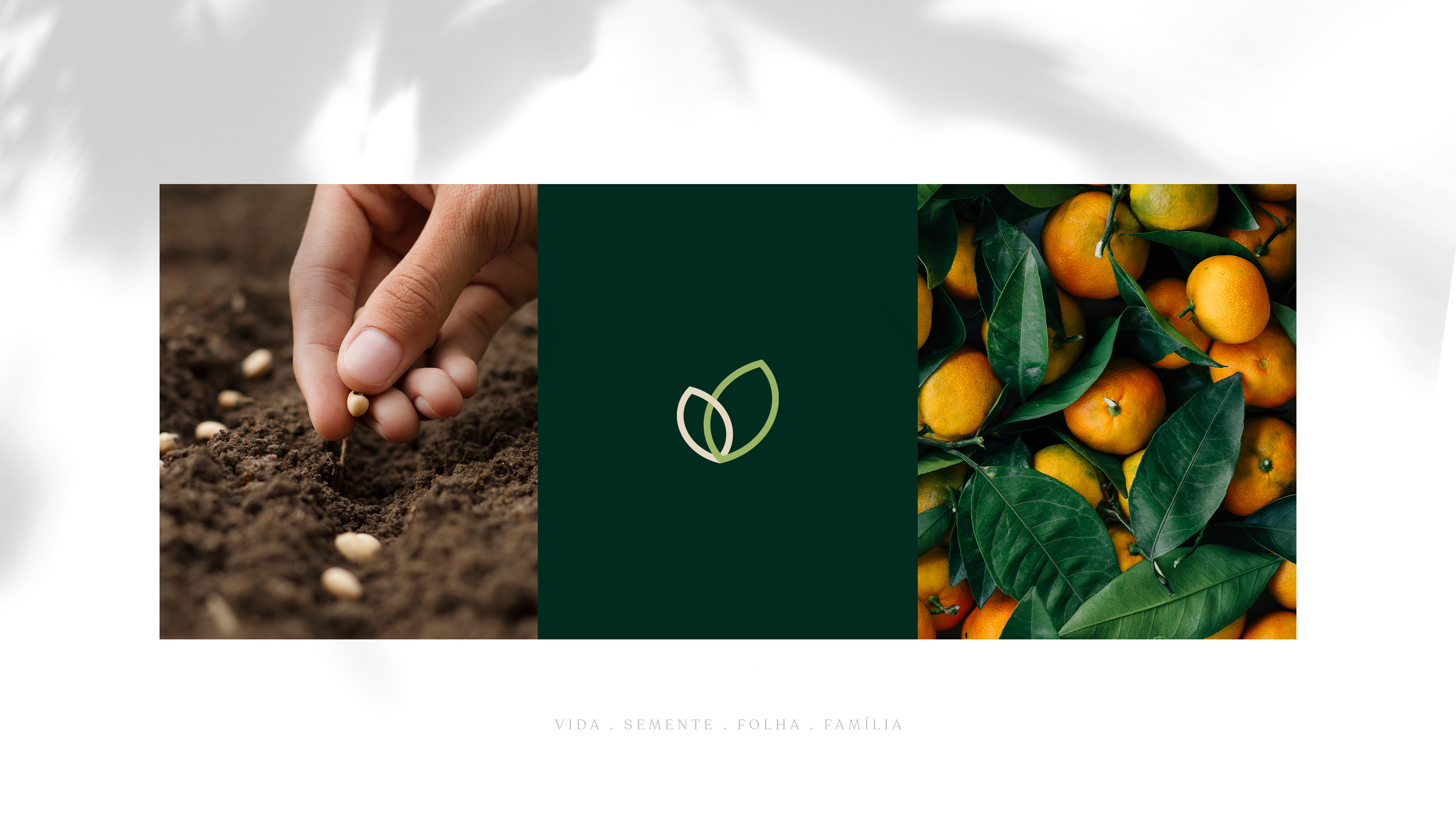 Vilas Boas Supermercado & Agro - imagem 3