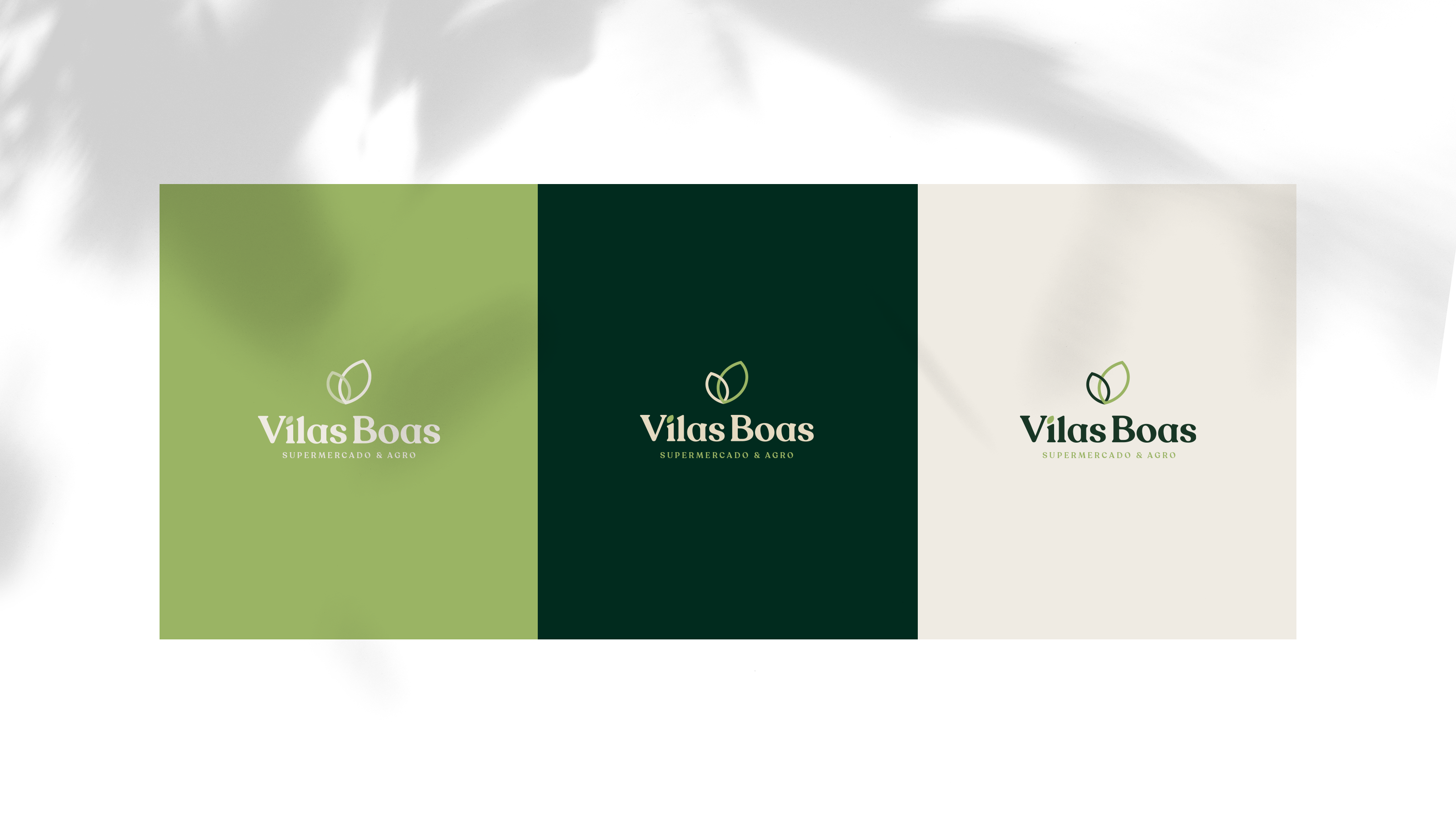 Vilas Boas Supermercado & Agro - imagem 6